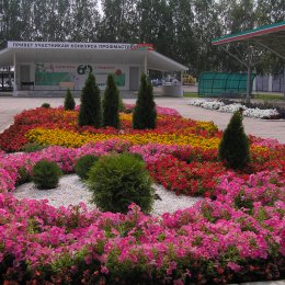 Полигон