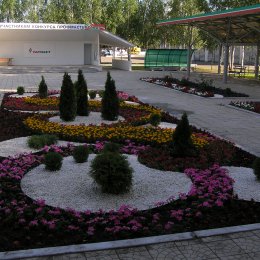 Полигон